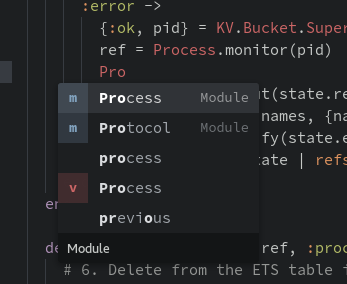 Elixir docs displayed