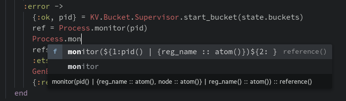 Elixir docs displayed