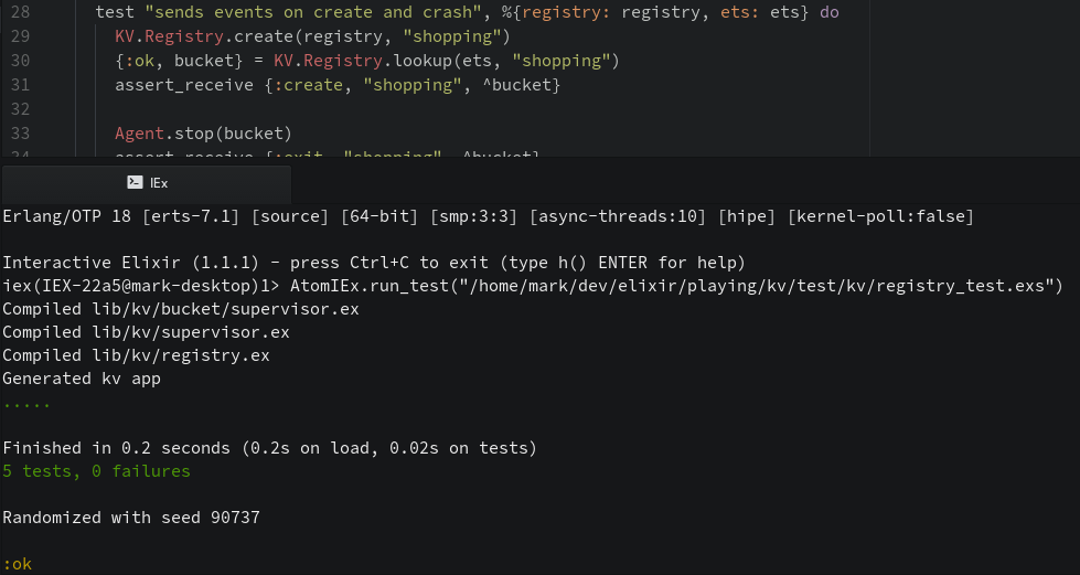 IEx Panel open showing test results