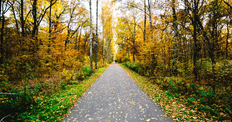 Taking the happy path Photo by Felix Kayser on Unsplash